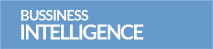 Business Intelligence